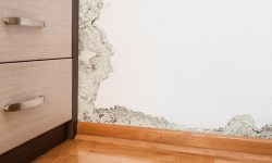humidite-mur-main